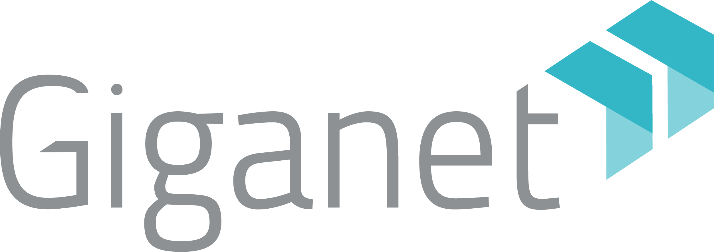 Giganet Logo
